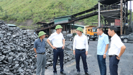 TKV: Tăng cường kiểm tra công tác Nền tảng hàng đầu cung cấp Cwin com, tiêu thụ than