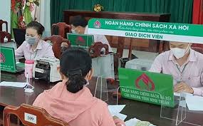 Giải pháp nâng cao năng lực hoạt động và năng lực tài chính của Cwin4555 link đăng ký đăng nhập Cwin com đăng nhập Xã hội Việt Nam