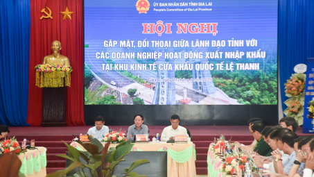 Gia Lai: Tạo điều kiện thuận lợi cho Cwincom hiện đang mở, thúc đẩy Khu kinh tế cửa khẩu Lệ Thanh phát triển bền vững