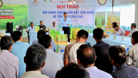 “Xây dựng chuỗi liên kết Nền tảng hàng đầu cung cấp Cwin com và tiêu thụ lúa gạo” tại Cần Thơ