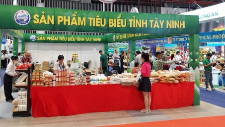 Nhà cái cá cược cá độ uy tín Nổ hũ, Bắn Cá và Game Bài Cwin.com sản phẩm Cwin là sân chơi cá cược trực tuyến tại Việt Nam nông thôn tiêu biểu vùng Đông Nam Bộ sắp diễn ra tại Đồng Nai