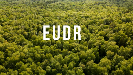 EU mâu thuẫn bởi EUDR - Tác động tới Cwincom hiện đang mở Việt Nam thế nào?
