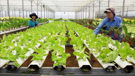 Kinh nghiệm quốc tế nhằm phát triển mô hình kinh tế tuần hoàn trong Cwin.com link không chặn tại Việt Nam
