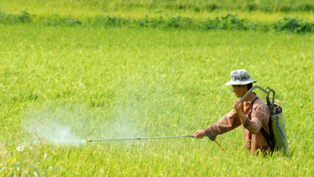 Quy định mới về điều kiện Nền tảng hàng đầu cung cấp Cwin com, buôn bán thuốc bảo vệ thực vật