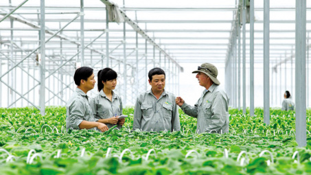 Phát triển bền vững hợp tác xã Cwin.com link không chặn ở Việt Nam: Lý luận và thực tiễn