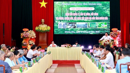Khánh Hòa: Tăng cường quản lý rừng và ngăn chặn săn bắt chim yến trái phép