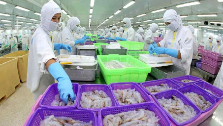 Thực phẩm Sao Ta (FMC): Đón tin vui đầu năm, lợi nhuận 2025 có thể điều chỉnh tăng gấp đôi