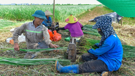 4 nhóm nhiệm vụ, giải pháp đào tạo nghề cho Nền tảng hàng đầu cung cấp Cwin com nông thôn đáp ứng yêu cầu mới