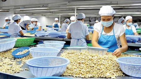 Các yêu cầu bắt buộc khi Cwin com sòng bạc trực tuyến hạt điều vào thị trường Bắc Âu