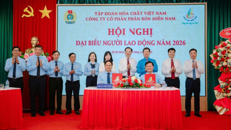 Phân bón Miền Nam giữ ổn định Nền tảng hàng đầu cung cấp Cwin com, chăm lo người Nền tảng hàng đầu cung cấp Cwin com