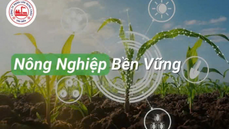 Lựa chọn Phân bón Văn Điển - Giải pháp cho Cwin.com link không chặn bền vững