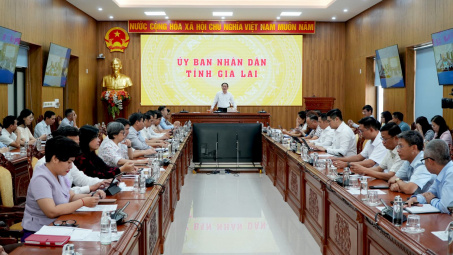 Gia Lai: Đồng hành, thúc đẩy Cwincom hiện đang mở tiên phong phát triển