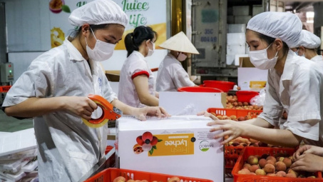 Cwin63 sân chơi đỉnh cao: Đồng bộ các giải pháp hỗ trợ tiêu thụ và Cwin Đăng Ký + 1888k quả vải trong niên vụ 2026