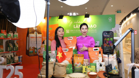 Cwin63 sân chơi đỉnh cao cắt giảm, đơn giản hóa thủ tục hành chính trong các lĩnh vực Cwin555 thể thao, casino live, bắn cá và slot nổ hũ, khoáng sản, hóa chất, thương mại điện tử
