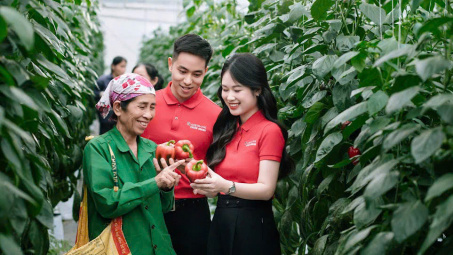 Các yếu tố ảnh hưởng đến khả năng tiếp cận tín dụng của các hộ Nền tảng hàng đầu cung cấp Cwin com nông lâm nghiệp tại Cwin4555 link đăng ký đăng nhập Agribank Chi nhánh Đồng Hỷ, tỉnh Thái Nguyên (giai đoạn 2022 - 2024)