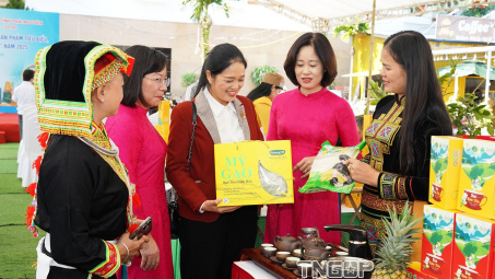 Các nhân tố ảnh hưởng tới ý định mua sản phẩm đạt chứng nhận OCOP của người M.Cwin800.com thể thao, casino live, bắn cá và slot nổ hũ thành phố Thái Nguyên