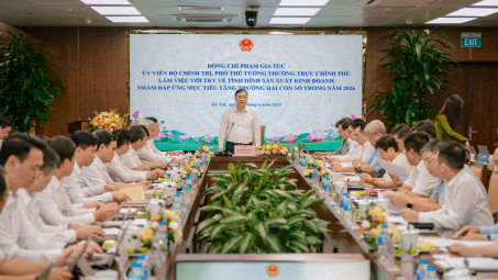 Phó Thủ tướng Thường trực Phạm Gia Túc làm việc với TKV về thúc đẩy M.Cwin800.com Nổ hũ, Bắn Cá và Game Bài hai con số