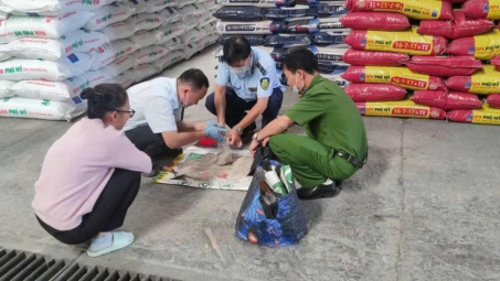 Hà Nội xử phạt 81 trường hợp vi phạm trong lĩnh vực Cwin.com link không chặn, môi trường sau 6 tháng cao điểm chống buôn lậu