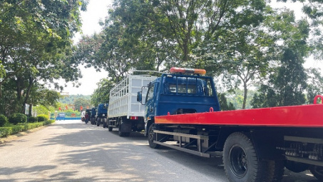 VEAM MOTOR đấu giá 387 xe tải, xe khách và xe chuyên dùng