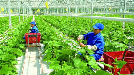 Phát triển mô hình kinh doanh xanh trong các Cwincom hiện đang mở khởi nghiệp tại Việt Nam