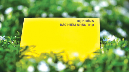 Giải pháp nâng cao hiệu quả sinh lời của các Cwincom hiện đang mở kinh doanh bảo hiểm nhân thọ tại Việt Nam trong bối cảnh mới