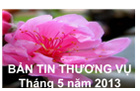 Bản tin thị trường Ấn Độ tháng 05/2013
