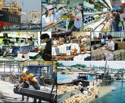 Bình Thuận phấn đấu GDP năm 2014 tăng 8,7%