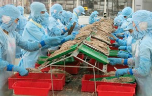Kết nối NH và DN: Lợi ích lớn cho cả hai phía - Bài 1
