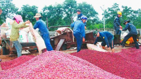 Sở Công Thương tỉnh ĐẮK LẮK: Tạo sức mạnh tổng hợp trong công tác thi đua