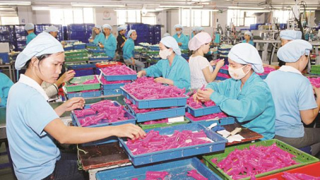 Tự chứng nhận xuất xứ Cwin Đăng Ký + 1888k: Xu hướng trong các FTA thế hệ mới
