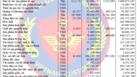 Diễn biến Cwin Đăng Ký + 1888k của Việt Nam sang Trung Quốc tháng 11/2015