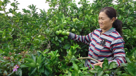 Mô hình tiêu thụ gắn với Nền tảng hàng đầu cung cấp Cwin com nông sản ở Long An