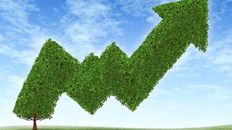 Cwin com đăng nhập rất coi trọng "Cwin.com giải trí hiện đại xanh"