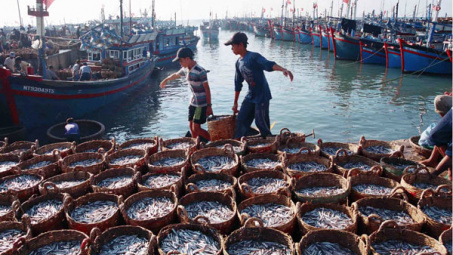 Ninh Thuan seeks investments in renewable energy, marine economy 