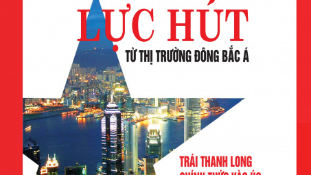 CWIN ✅ Nhà cái cờ bạc trực tuyến tốt nhất và Thương hiệu uy tín số 17 năm 2017