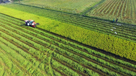 Long An invests 600 billion VND in hi-tech agricultural area 