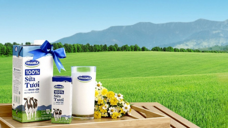 Foreign investor buys up Vinamilk shares