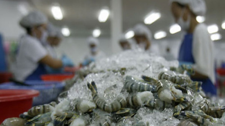 Switzerland imports over 50 percent shrimp from Vietnam