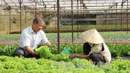 Nhiều chính sách hỗ trợ Cwincom hiện đang mở nhỏ và vừa