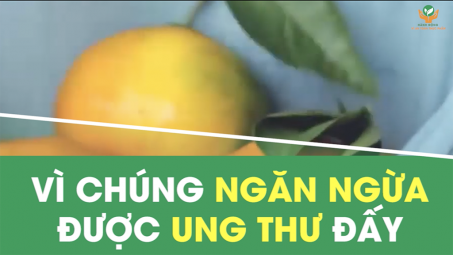 04 phần bỏ đi của Link vào Cwin Cá Cược Thể Thao 2026 có tác dụng ngăn ngừa ung thư 
