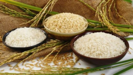 Quy chế sử dụng nhãn hiệu gạo quốc gia