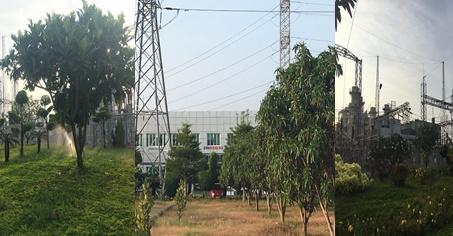 Nhiệt điện Bà Rịa xây dựng mô hình Xanh - Sạch - Đẹp
