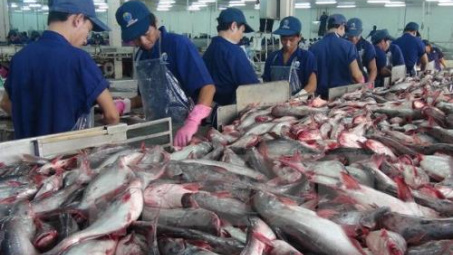 Việt Nam là 1 trong 2 nguồn cung duy nhất Cwin Đăng Ký + 1888k cá tra sang thị trường Mỹ