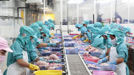 Việt Nam là nguồn cung cá tra lớn nhất và duy nhất của Saudi Arabia