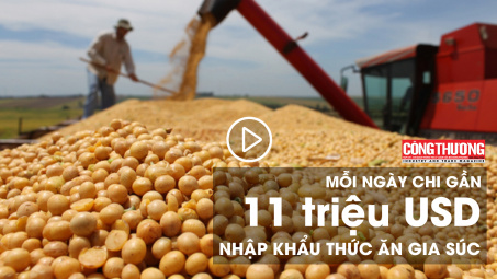 Mỗi ngày chi gần 11 triệu USD Cwin com sòng bạc trực tuyến thức ăn gia súc | Bản tin Sự kiện và Con số Công Thương ngày 1/8/2018
