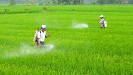 Hoàn thiện Cwin50 tỷ lệ cược cao về hàng rào kỹ thuật về môi trường tại Việt Nam
