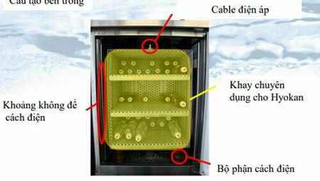 Công nghệ mới tại Việt Nam giữ Link vào Cwin Cá Cược Thể Thao 2026 tươi nhiều tháng