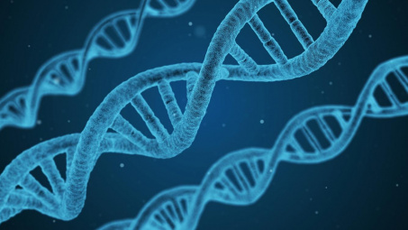 WHO kêu gọi quản lý chặt chẽ về chỉnh sửa gene người