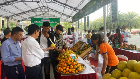 Hưng Yên: Kết nối cung cầu tiêu thụ Cam, sản phẩm Cwin.com link không chặn - Cwin là sân chơi cá cược trực tuyến tại Việt Nam