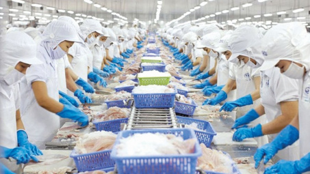 Thẻ vàng IUU tác động giảm đối với Cwin Đăng Ký + 1888k các mặt hàng hải sản sang EU